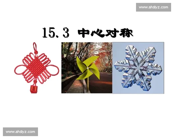 以内切与中心对称结构分析及其在几何学中的应用探讨 以内切与中心对称结构分析及其在几何学中的应用探讨